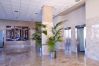 Apartamento en Benidorm - Paraiso Lido - Apartamento 2/3 superior
