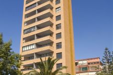 Apartamento en Benidorm - PARAISO FLORIDA 2/3 SUPERIOR