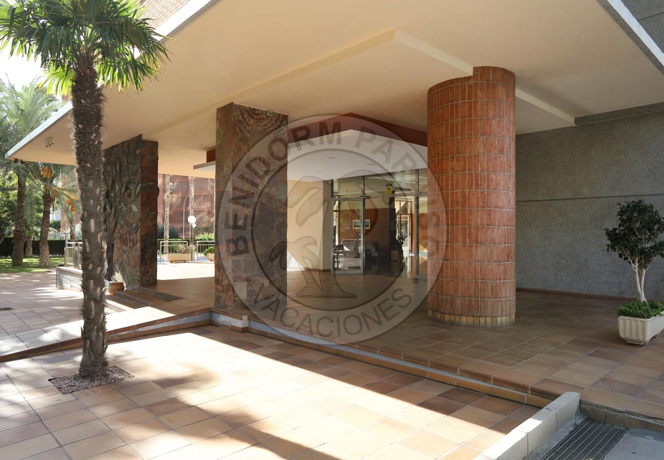 Apartamento en Benidorm - PARAISO CENTRO 1 DORMITORIO BenidormParaiso