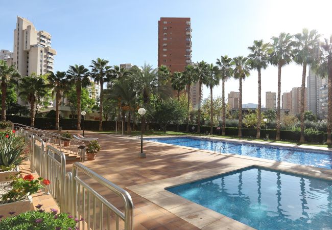 Apartamentos Benidorm Paraiso Centro