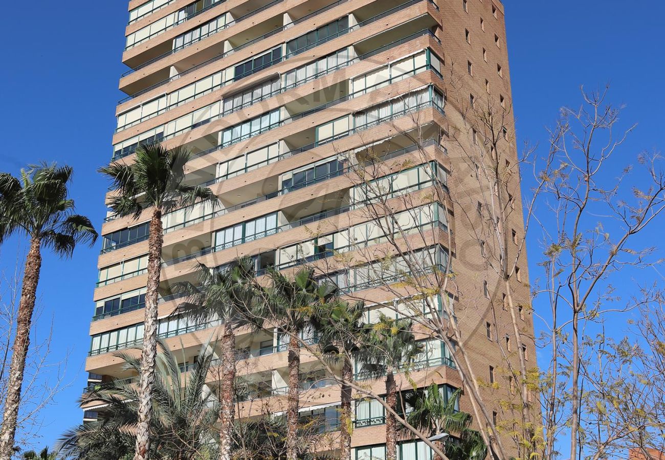 Apartamento en Benidorm - 1 DORMITORIO-SUITE PARAÍSO CENTRO