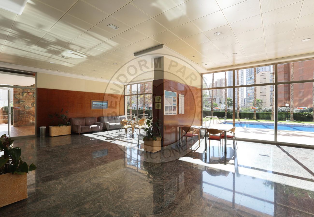 Apartment in Benidorm - PARAISO CENTRO 2 BEDROOMS BenidormParaíso