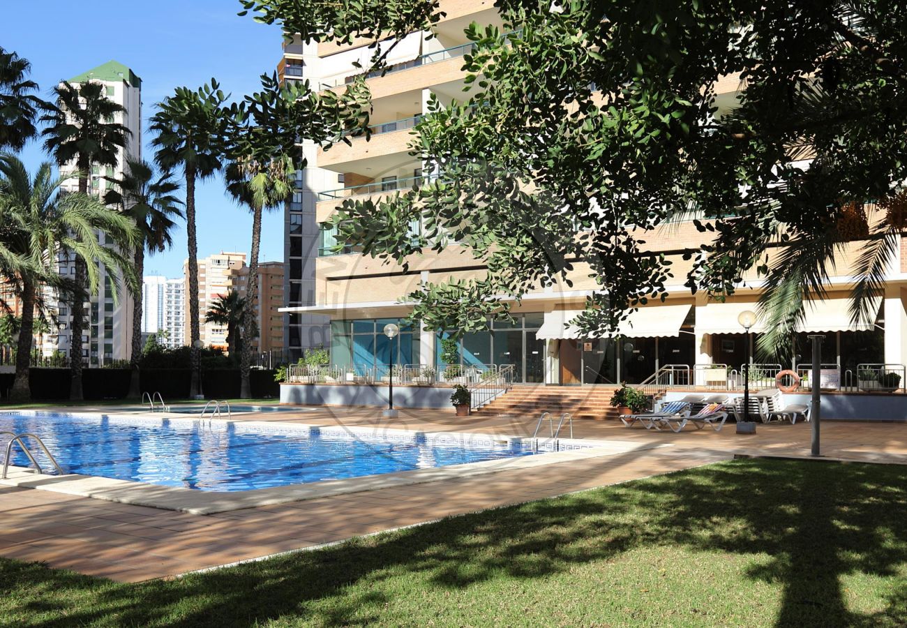 Holiday accommodation in Benidorm